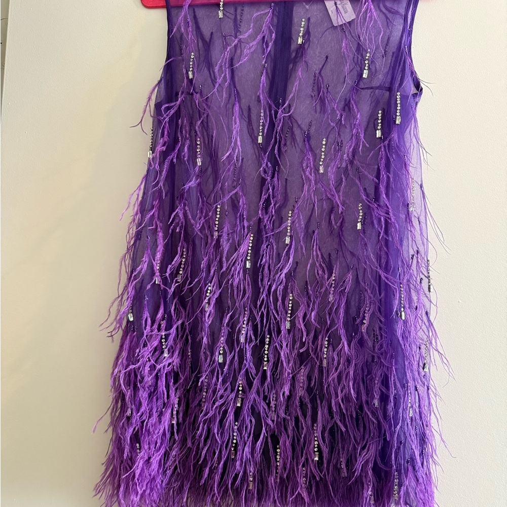 Feather Embellished Elegant Purple Sheer Dress with second piece under dress - Picture 5 of 15